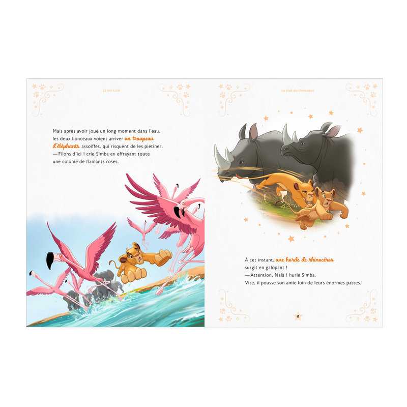 Livre DS merveilleuses histoires d'animaux - DS Hachette