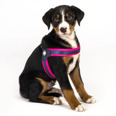 Max & Molly Q-Fit G﻿eschirr Matrix Pink