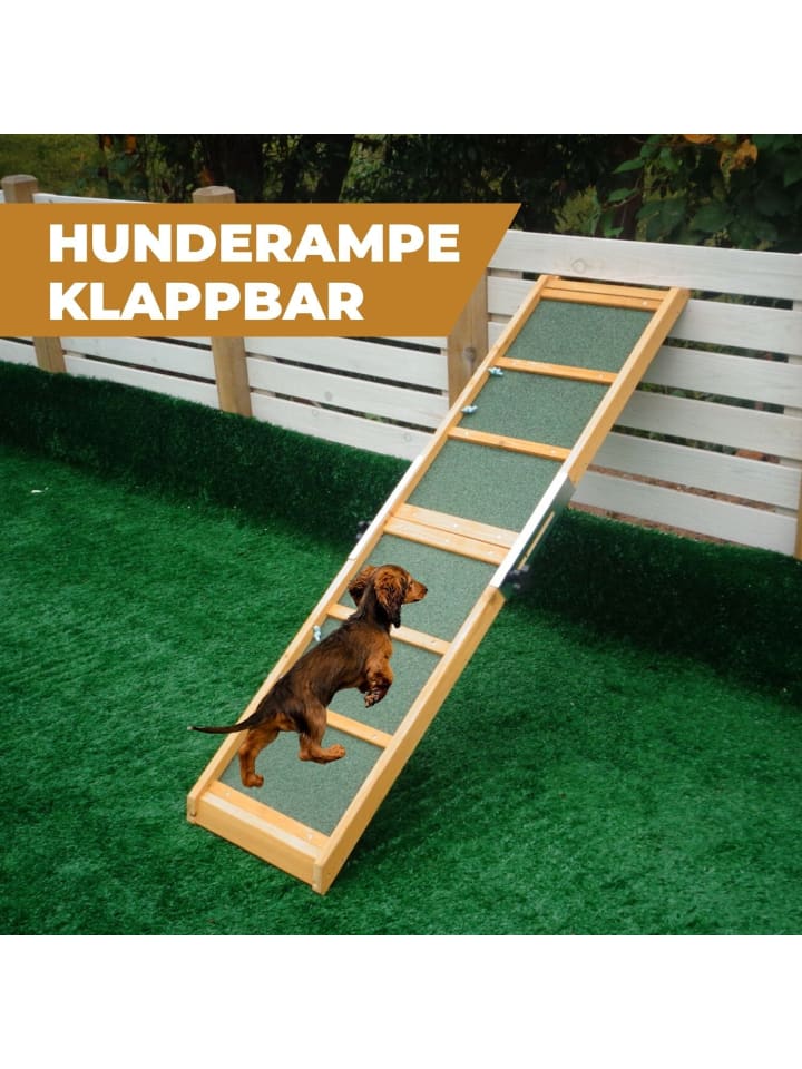 Coemo Hunderampe klappbar Aufstiegshilfe für Haustiere - Anti-Rutsch-Belag  in Grün günstig kaufen onesize