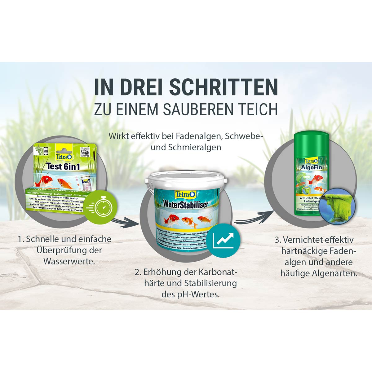 Tetra Pond AlgoFin günstig kaufen