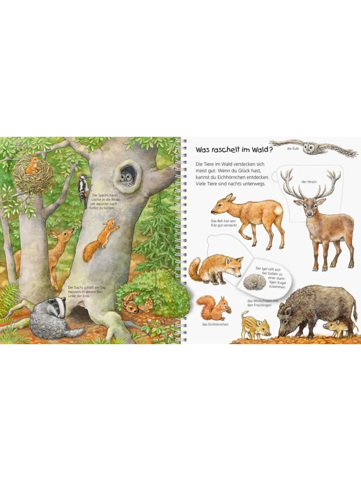 Ravensburger Wieso? Weshalb? Warum? Mein junior-Lexikon: Tiere günstig kaufen onesize
