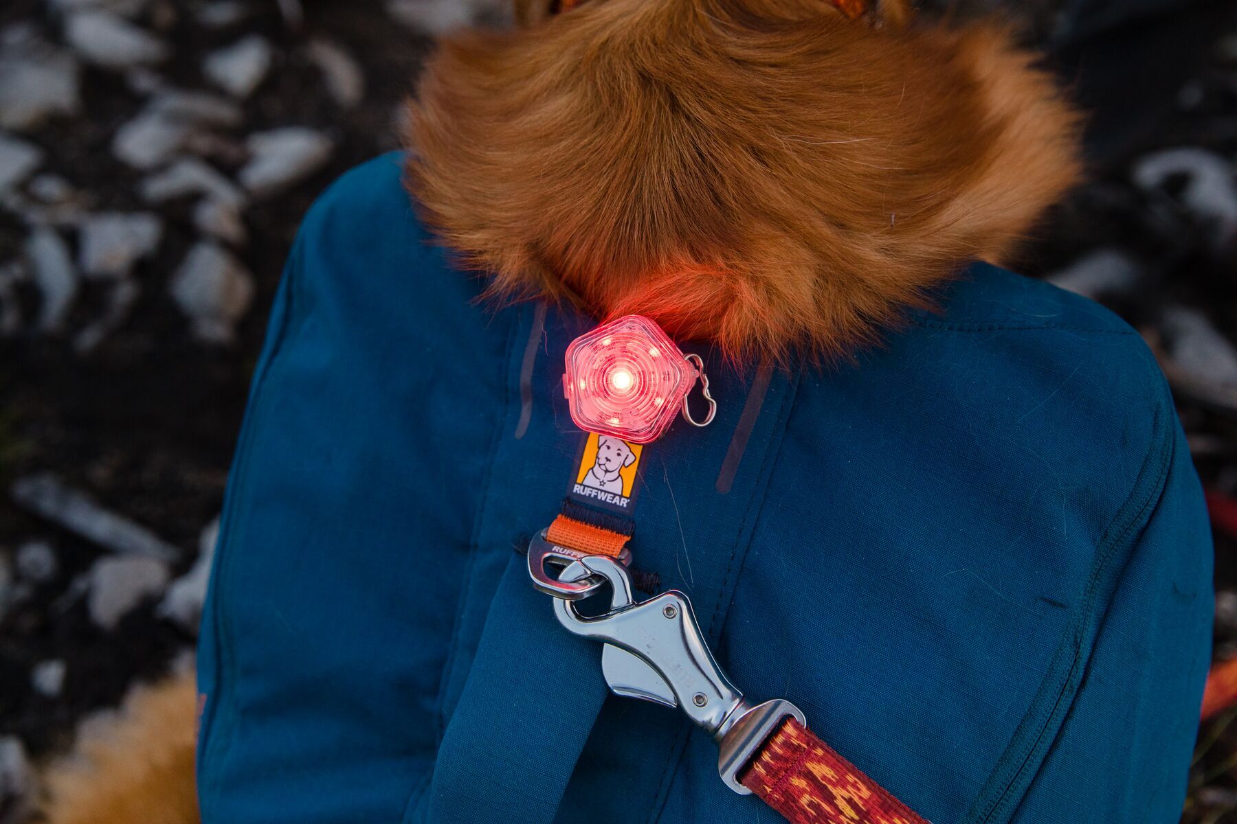 Ruffwear Hundeleinen Ruffwear Flat Out™ Leine rot/ gelb