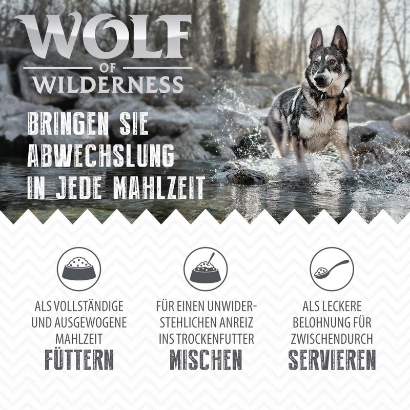 Wolf of Wilderness Senior 6 x 400 g