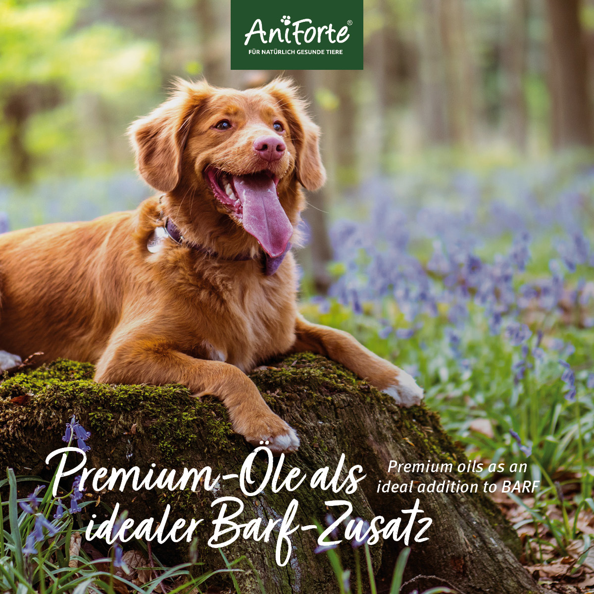 Aniforte Ergänzungsfutter & Aufzucht Aniforte Futteröl Premium BARF-Line 500ml