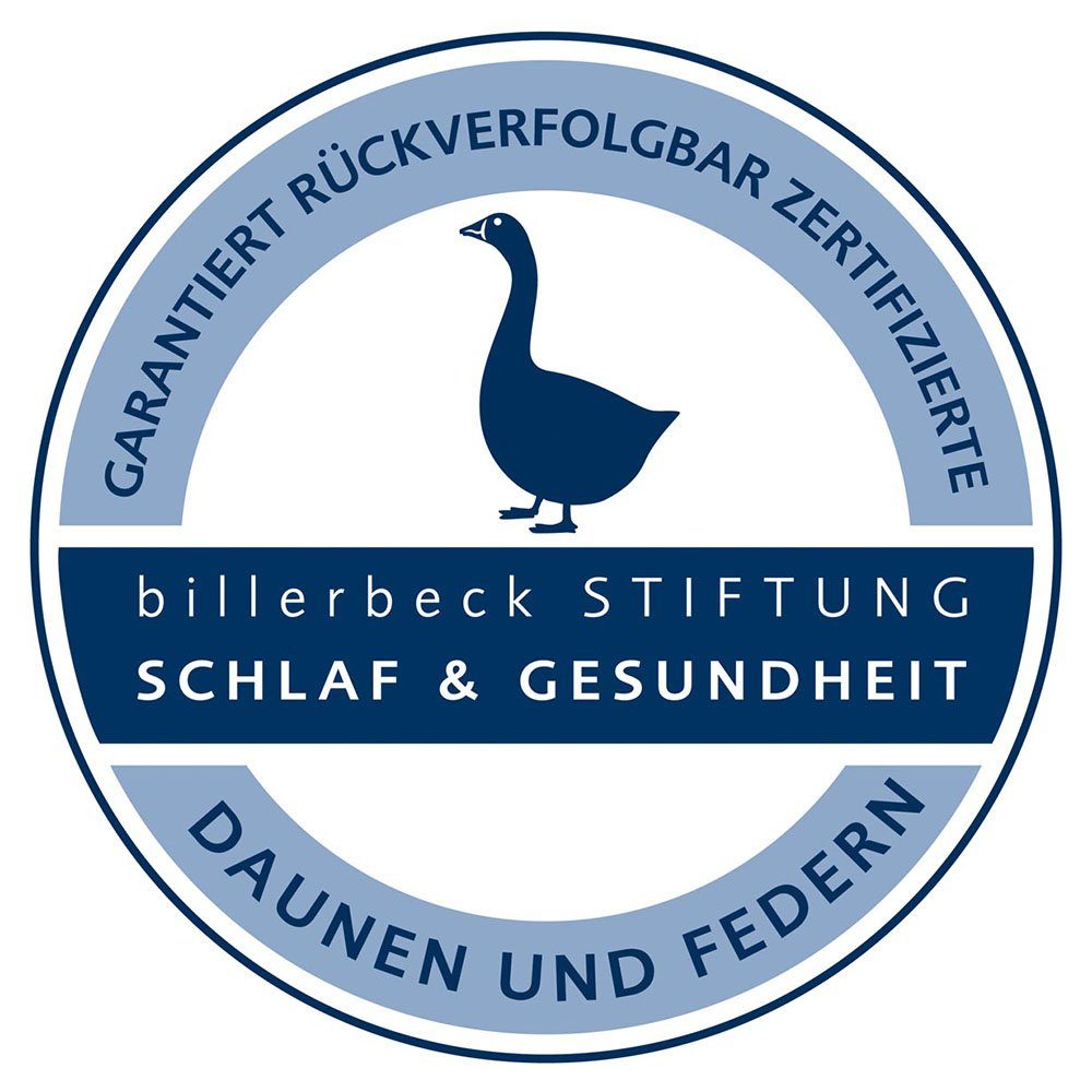 Daunenkissen Daunenkissen Clivia 30, billerbeck, Füllung: Daunen und Federn, Das richtige Kissen für jedes Sofa, jedes Bett!