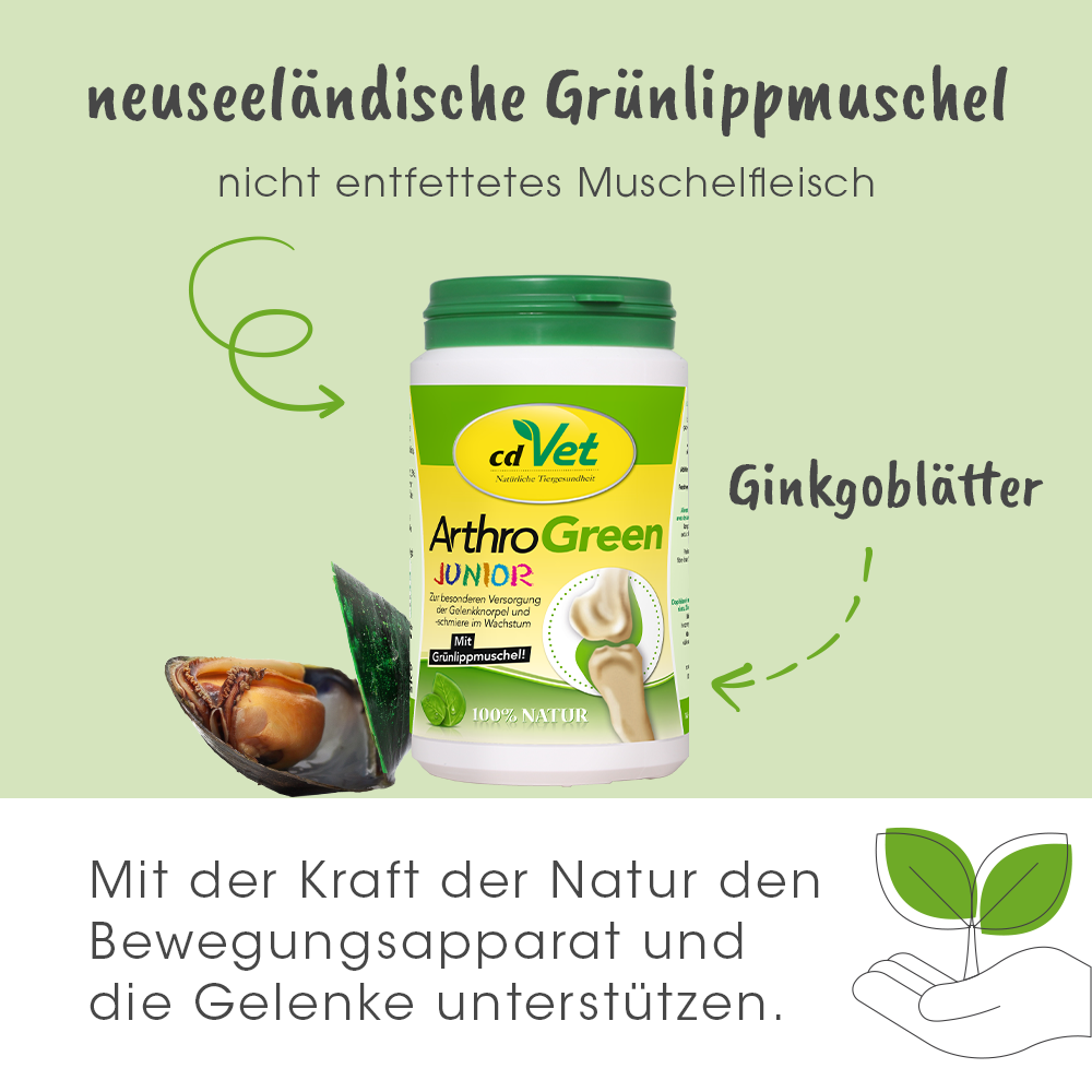 ArthroGreen Ergänzungsfutter & Aufzucht ArthroGreen Junior 25 g
