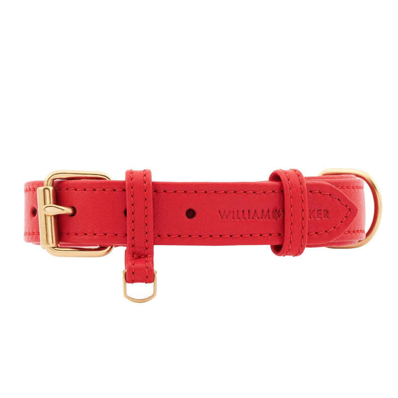 William Walker Hundehalsbänder William Walker Hundehalsband Plain Chili M