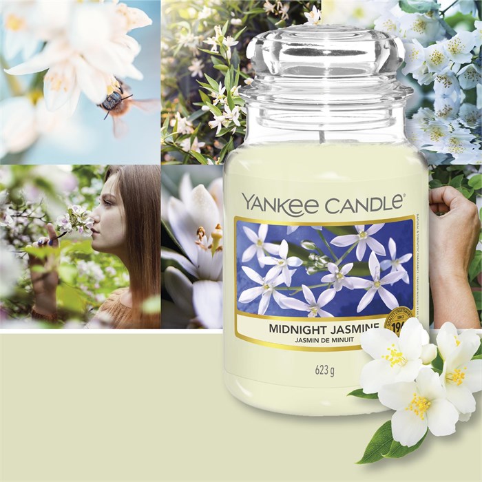 Midnight Jasmine