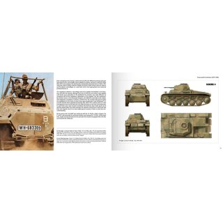 Panzerwaffe Tarnfarben: Camouflage Coulours and Organization of the german armoured Forde (1917-1945) (EN)