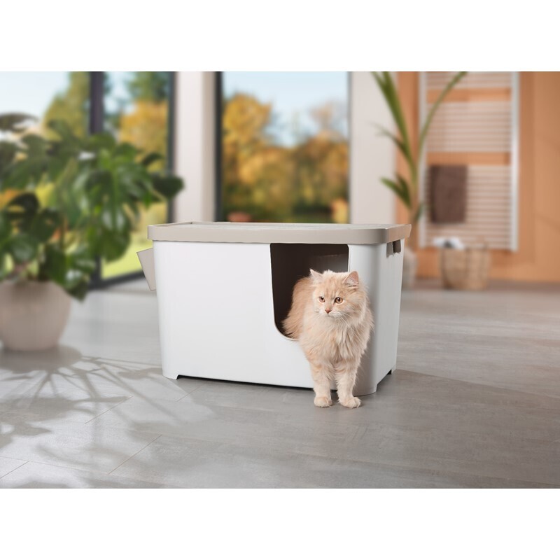 MORE Katzentoiletten MORE FOR Katzentoilette XXL Titan