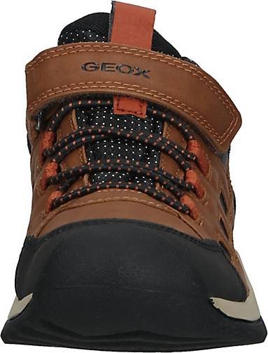 Geox Sneaker
