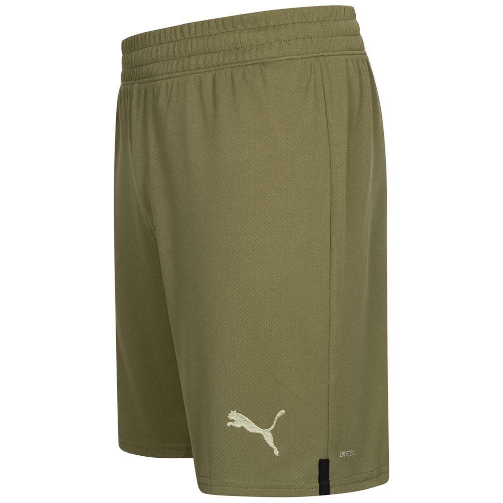 AC Mailand PUMA Herren Ausweich Shorts 765856-03