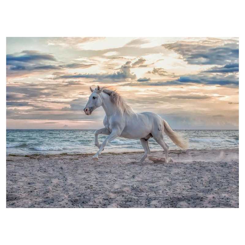 Puzzle cheval sur la plage 500 pièces