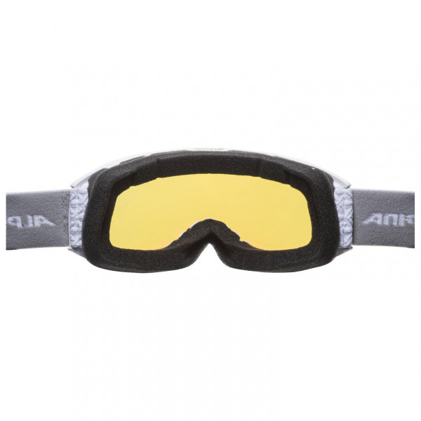 Alpina - Nakiska Hicon Mirror S2 - Skibrille