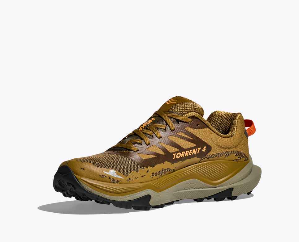 Torrent 4 Honey / Antique Olive