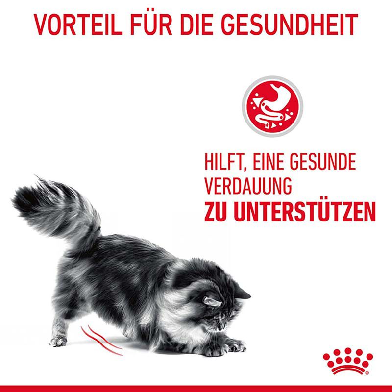 Royal Canin Digestive Care zu TOP-Preisen