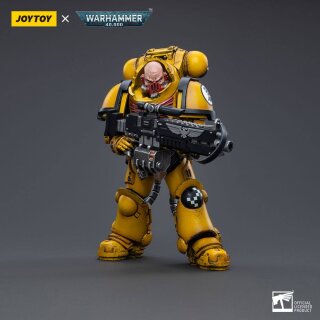 Warhammer 40k Actionfigur: Imperial Fists Heavy Intercessors 02