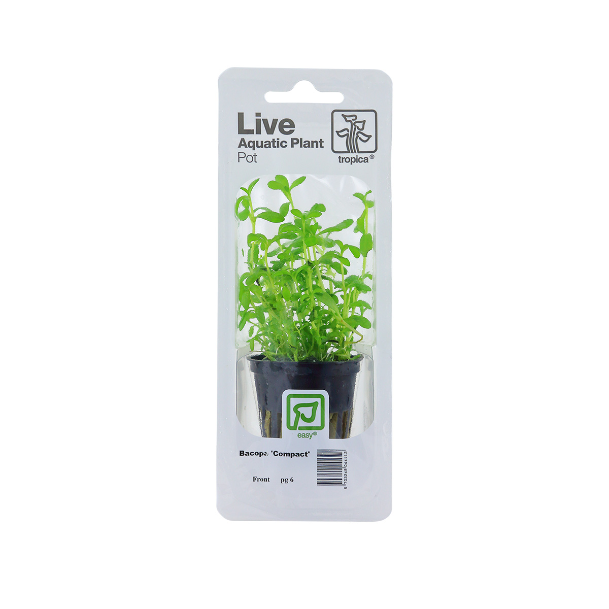 Tropica Aquariumpflanze Bacopa monnieri 'Compact'