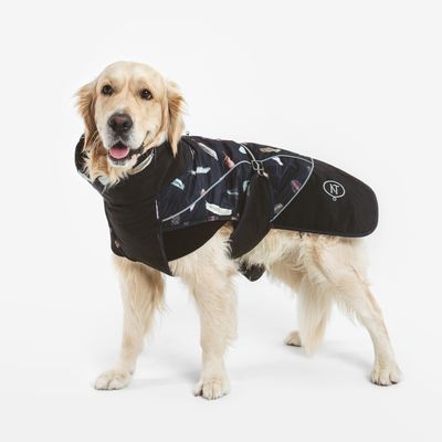 Nomad Tales Bloom Hundemantel Midnight