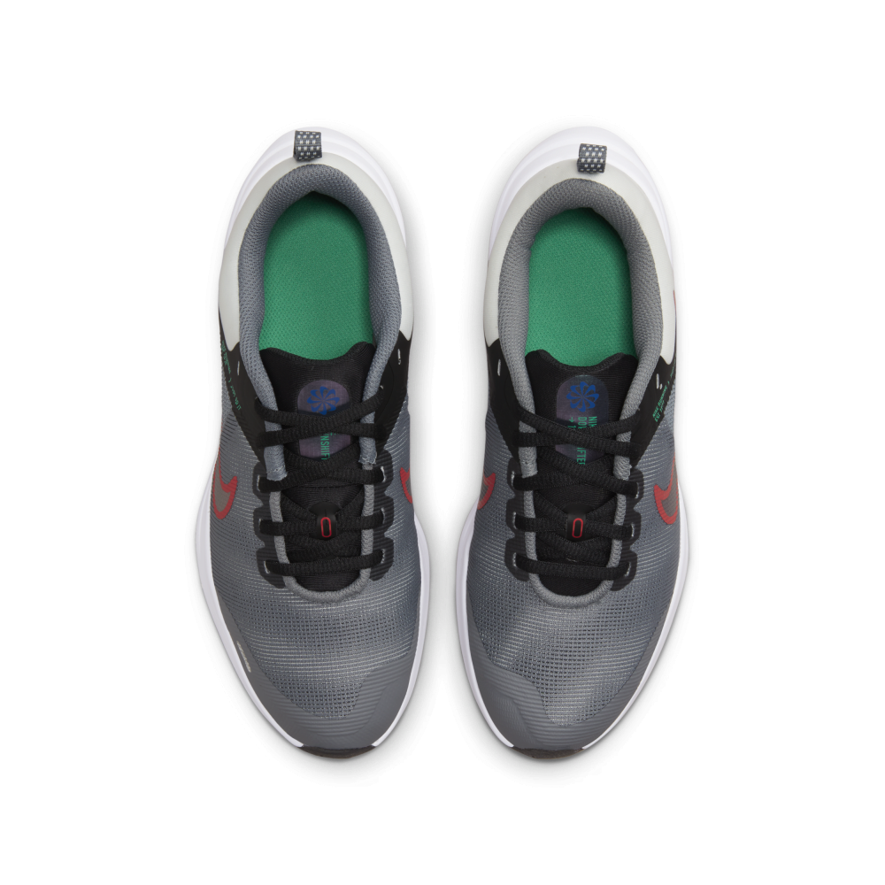 Nike Downshifter 12 DM4194-007 / grau