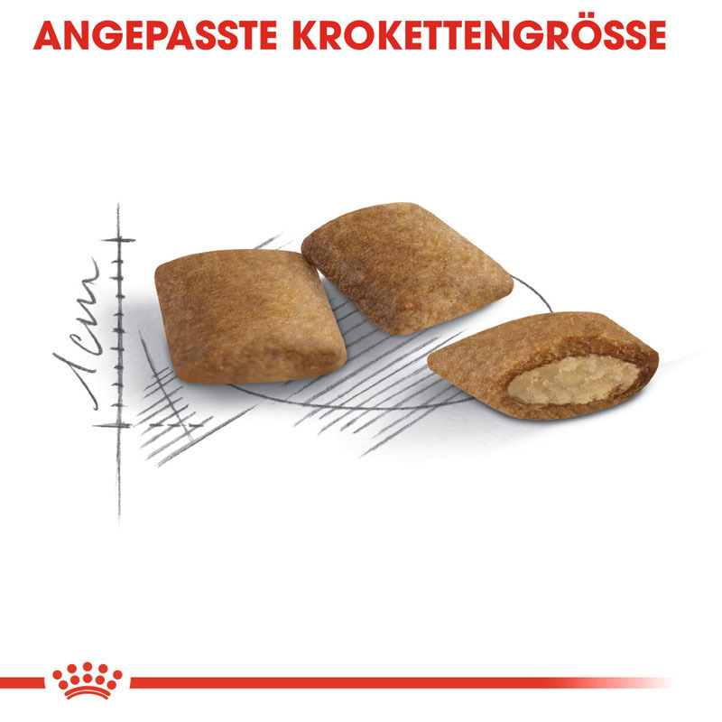 ROYAL CANIN Trockenfutter ROYAL CANIN Ageing 12+ 2x4 kg