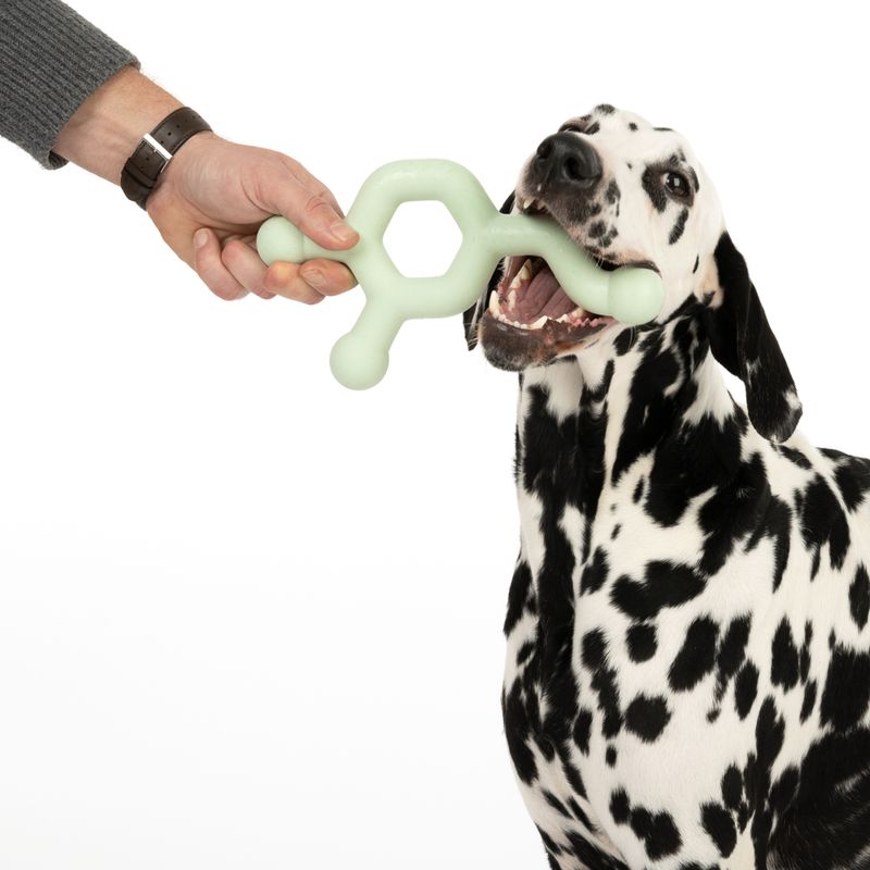 Nomad Tales Bloom Hundespielzeug Molekül zu TOP-Preisen | bitiba
