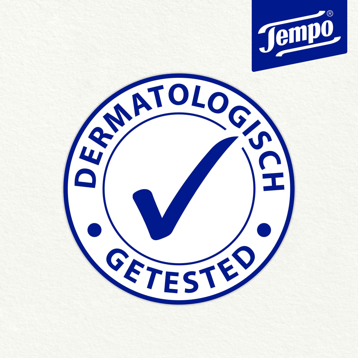 Handhygiene Tücher für Unterwegs, 10 St