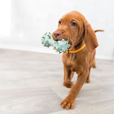 Trixie Junior Mini-Hantel