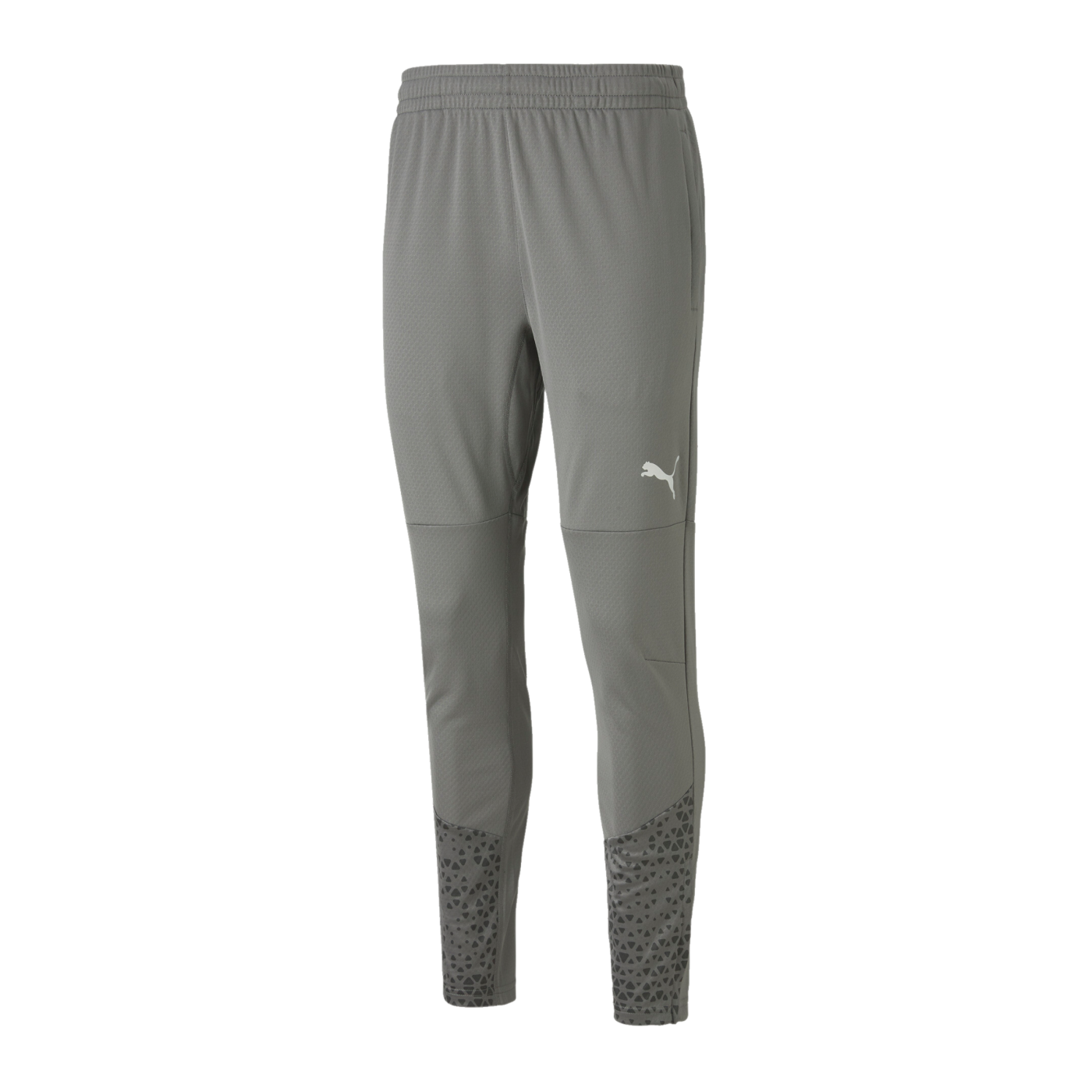 PUMA teamCUP Trainingshose Grau F13