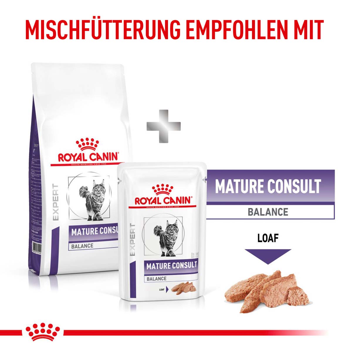 ROYAL CANIN Expert MATURE CONSULT BALANCE Trockenfutter für Katzen