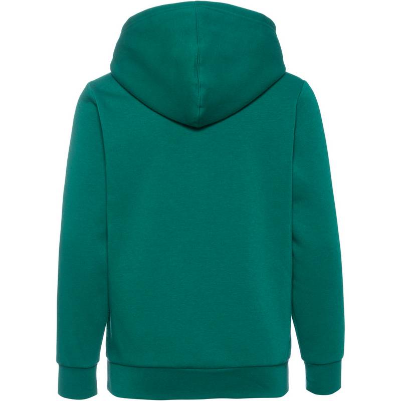 CHAMPION LEGACY AMERICAN CLASSICS Hoodie Jungen