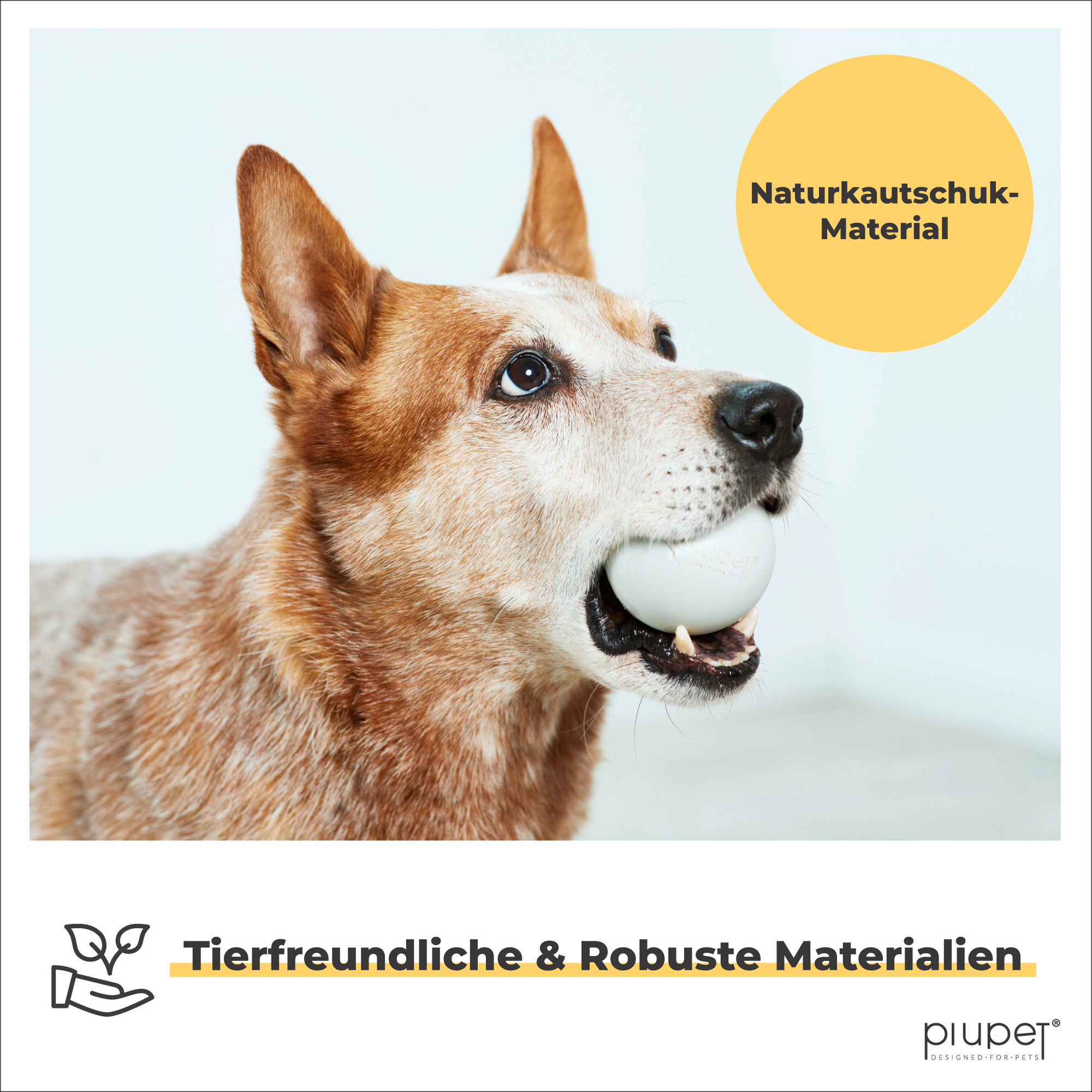 PIUPET Hundebälle PIUPET Hundeball-Set