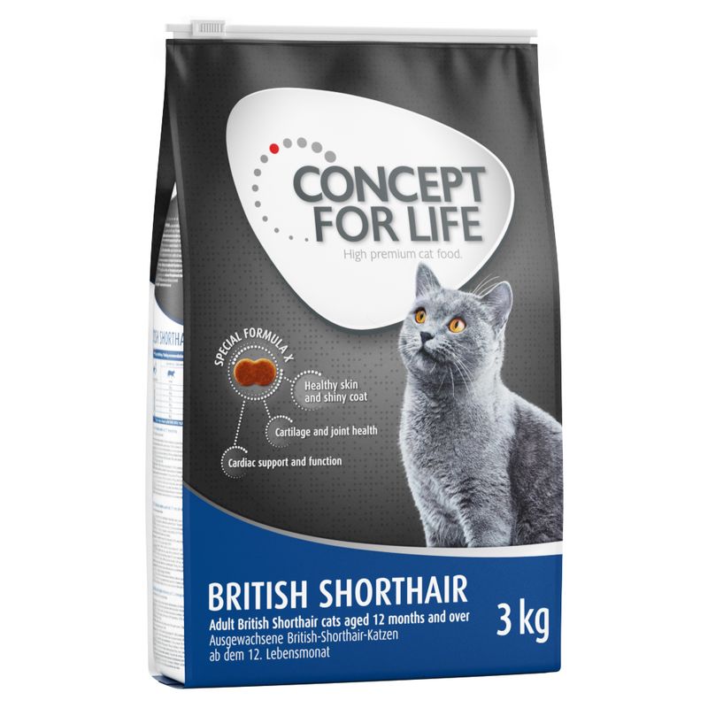 Sparpaket Concept for Life zu TOP-Preisen