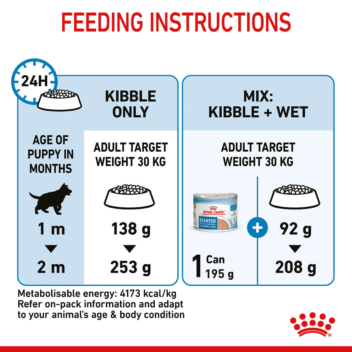 ROYAL CANIN MAXI Starter für tragende Hündin und Welpen großer Rassen