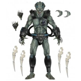 Predator Concrete Jungle 7