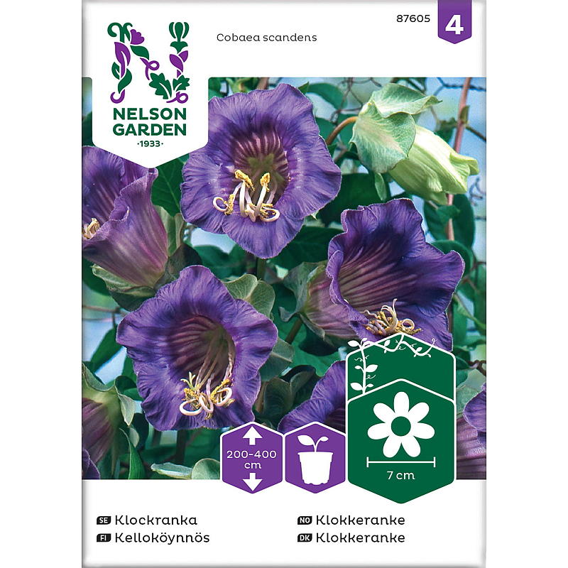 Nelson garden Frø Klokkeranke Blå