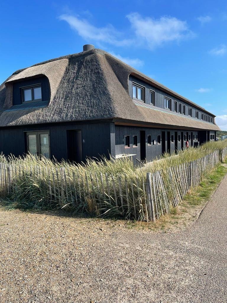 Mega-Holz Staketenzaun Staketenzaun Rolli - 5 m, Staketenzaun aus hochwertigem Haselnussholz