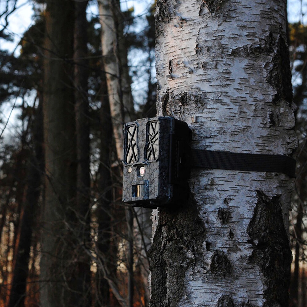 Spypoint Wildkamera Force-Pro