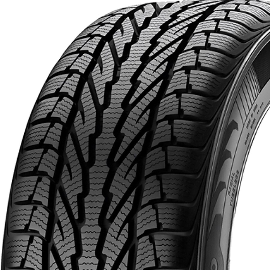 Apollo Alnac Winter 205/60 R16 96H XL Winterreifen - ATU