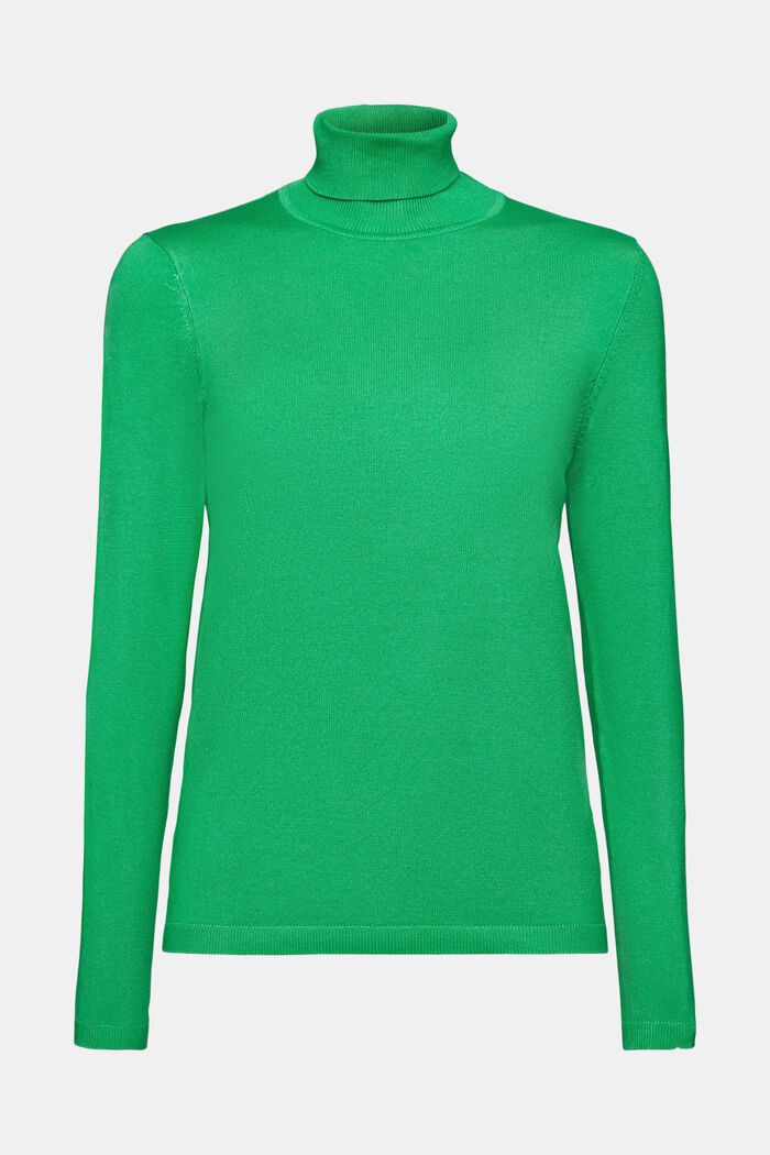 Langärmeliger Rollkragenpullover