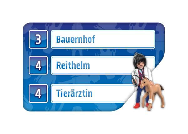 Activity Playmobil