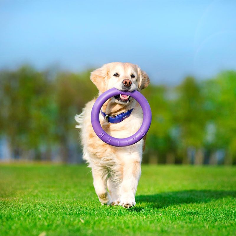 Ferplast Hundespielzeug Puller zu TOP-Preisen