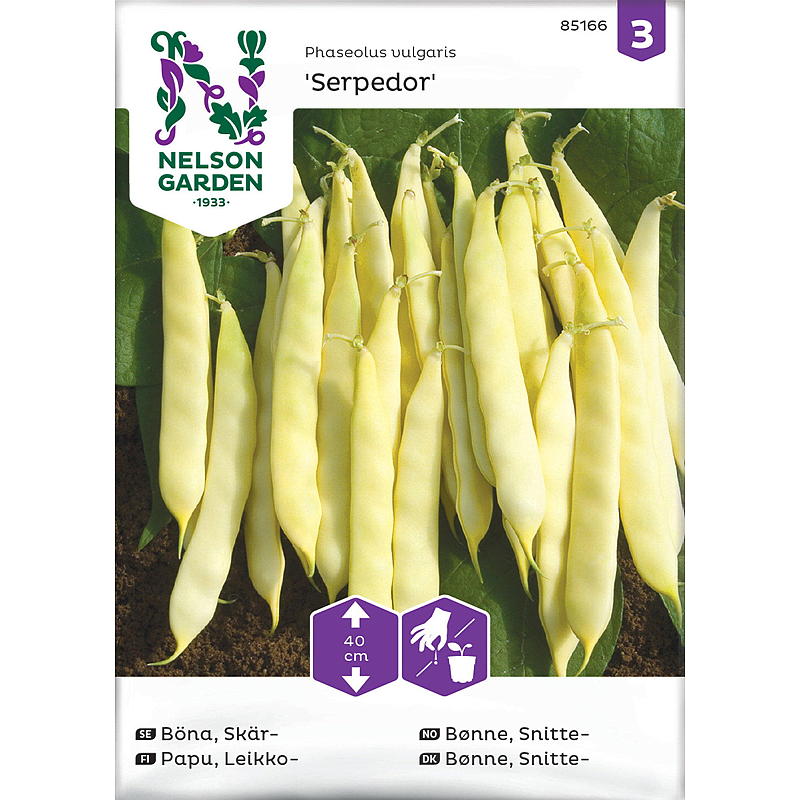 Nelson garden Frø Bønne Snitte-, Serpedor