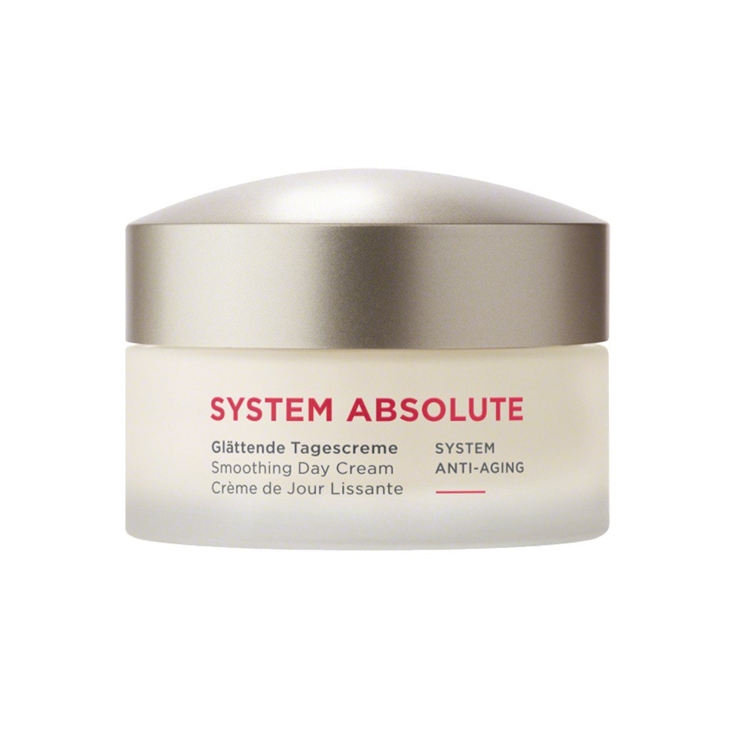SYSTEM ABSOLUTE