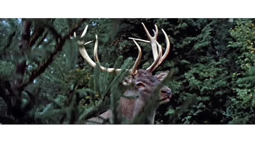 Der Hirsch mit dem goldenen Geweih (Filmjuwelen / DEFA-Märchen)