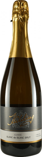 2021 Blanc de Blanc Sekt brut Bio - Weingut Kühling