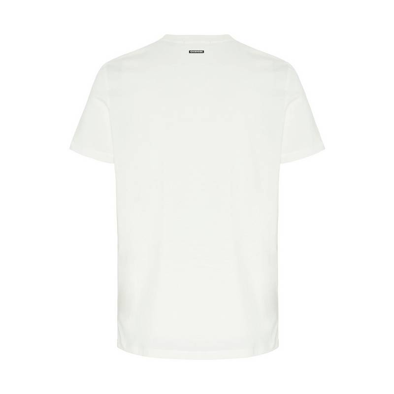Chiemsee T-Shirt T-Shirt Herren