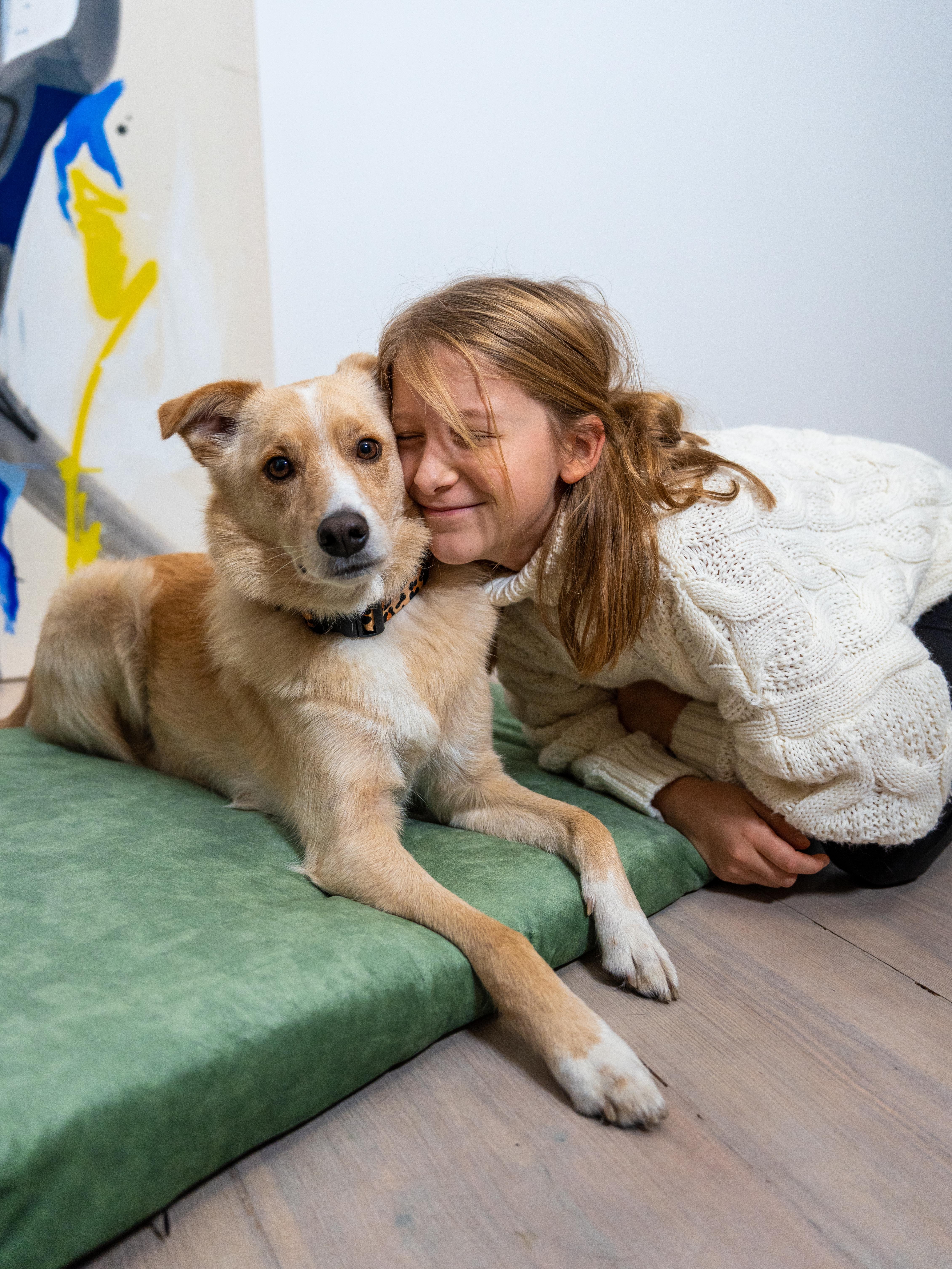 Rexproduct Hundematten Rexproduct SoftPet Matratze grün S