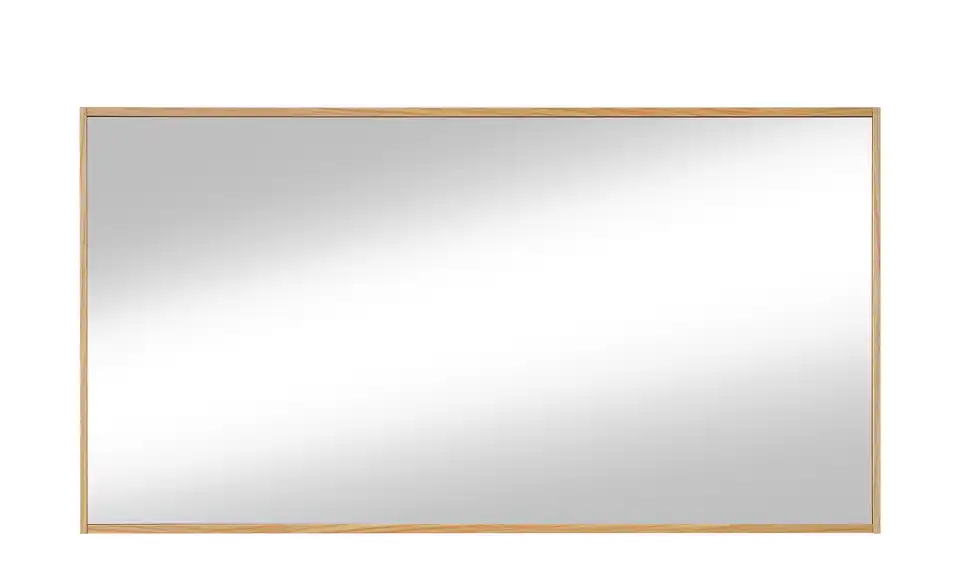 Spiegel 119 x 62 cm