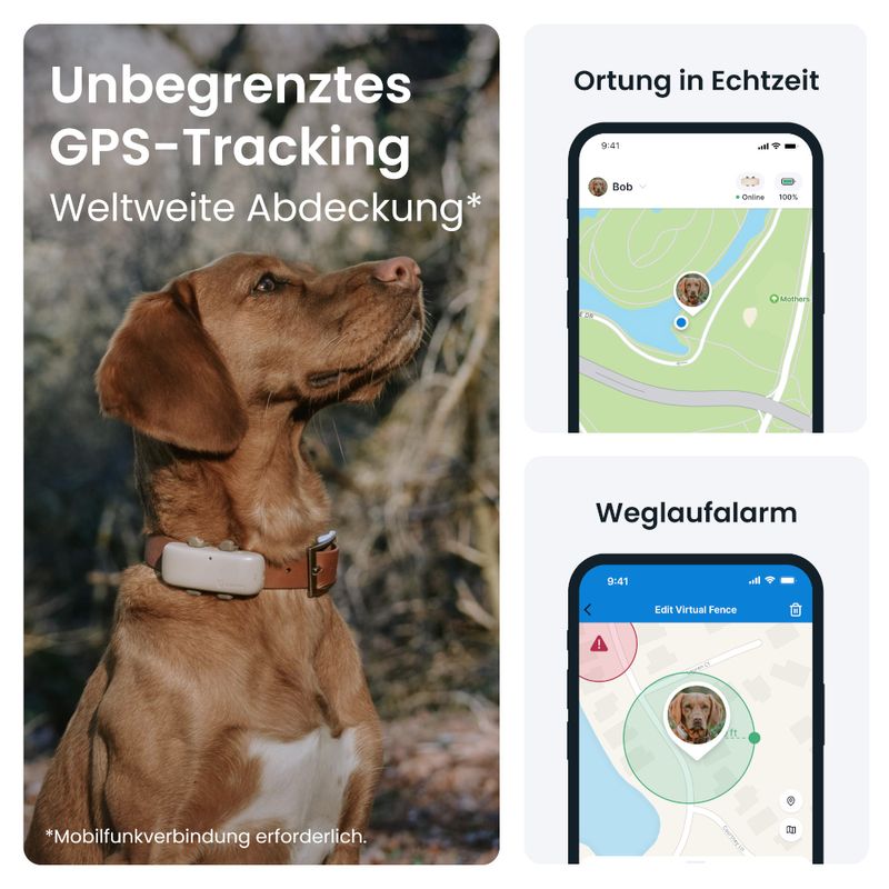 Tractive GPS Tracker für Hunde zu TOP-Preisen